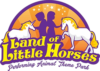 landoflittlehorses.com