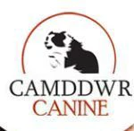 camddwrcanine.co.uk
