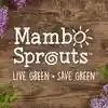 mambosprouts.com